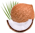 Coconut