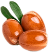 Shea Butter