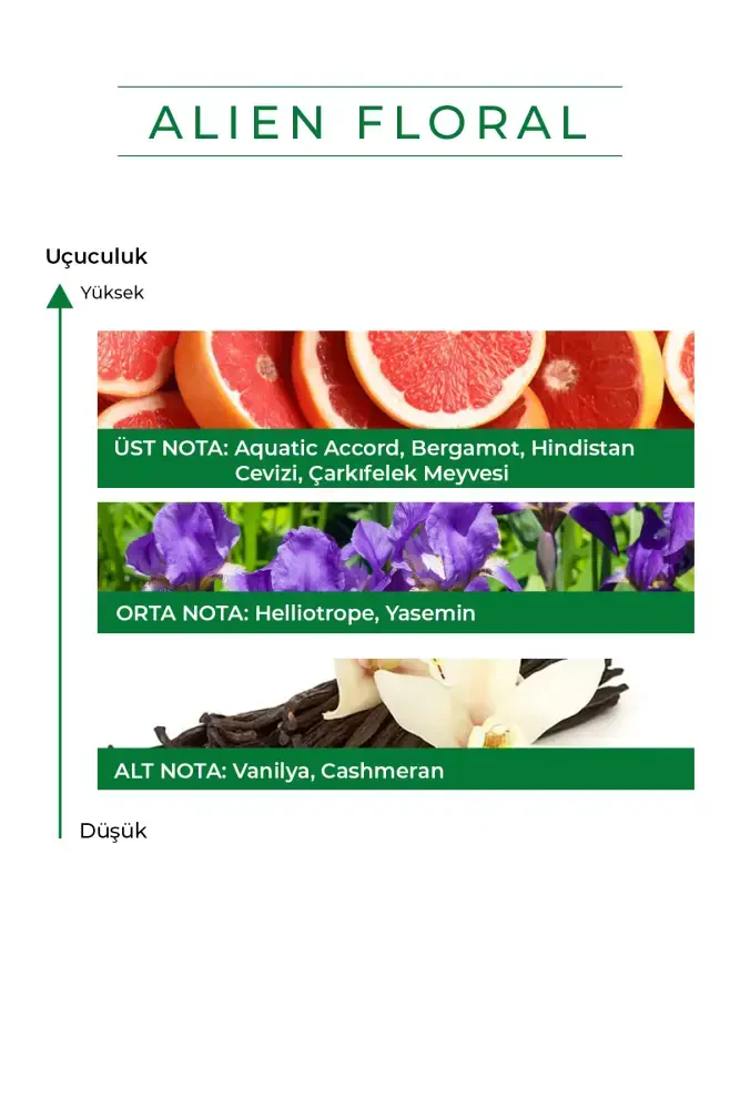 PROCSIN Alien Floral Parfüm 50 ML - 2