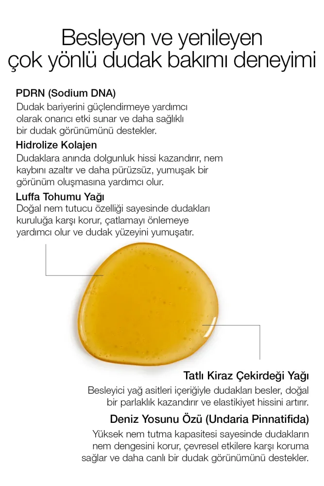 PROCSIN PDRN Lip Oil 11 ML - 3