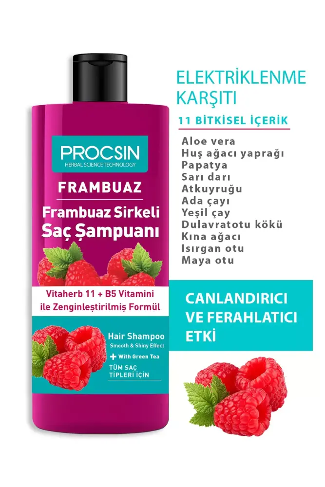 PROCSIN Raspberry Vinegar Shampoo 300 ML